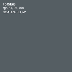 #545E63 - Scarpa Flow Color Image