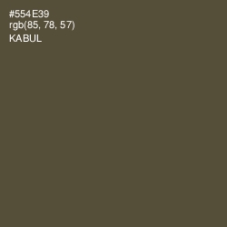 #554E39 - Kabul Color Image