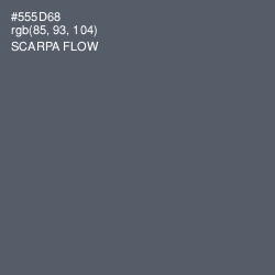 #555D68 - Scarpa Flow Color Image