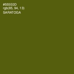 #555E0D - Saratoga Color Image