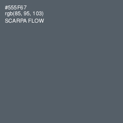 #555F67 - Scarpa Flow Color Image