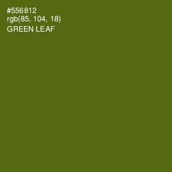 #556812 - Green Leaf Color Image