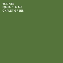 #55743B - Chalet Green Color Image