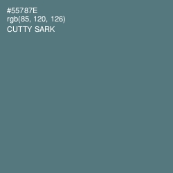 #55787E - Cutty Sark Color Image