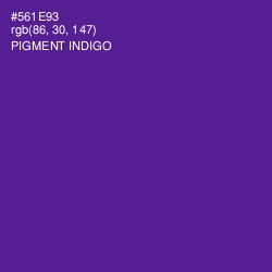 #561E93 - Pigment Indigo Color Image