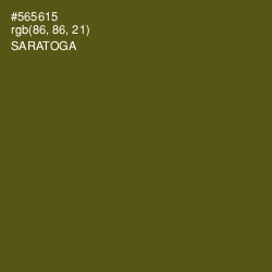 #565615 - Saratoga Color Image