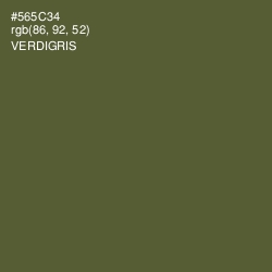 #565C34 - Verdigris Color Image