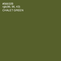 #56602B - Chalet Green Color Image