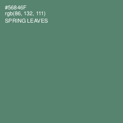 #56846F - Spring Leaves Color Image