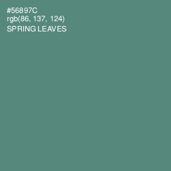#56897C - Spring Leaves Color Image