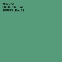 #569C7A - Spring Leaves Color Image