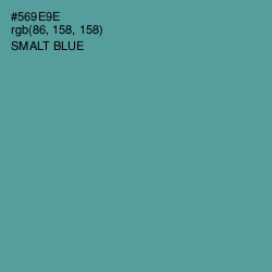 #569E9E - Smalt Blue Color Image