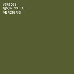 #575D33 - Verdigris Color Image