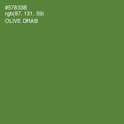 #57833B - Olive Drab Color Image