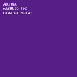 #581E88 - Pigment Indigo Color Image
