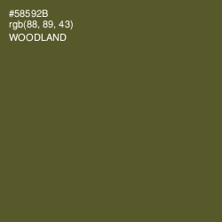 #58592B - Woodland Color Image
