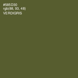 #585D30 - Verdigris Color Image