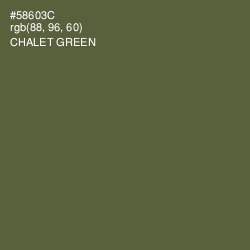 #58603C - Chalet Green Color Image