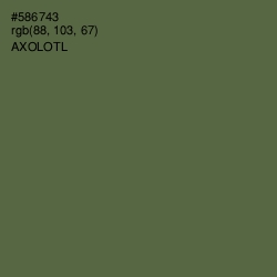 #586743 - Axolotl Color Image