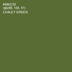 #586C33 - Chalet Green Color Image
