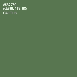 #587750 - Cactus Color Image
