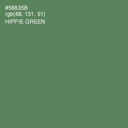 #58835B - Hippie Green Color Image