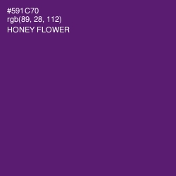 #591C70 - Honey Flower Color Image