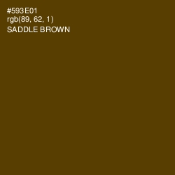 #593E01 - Saddle Brown Color Image