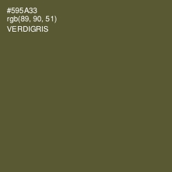 #595A33 - Verdigris Color Image