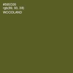#595D26 - Woodland Color Image