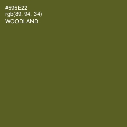#595E22 - Woodland Color Image