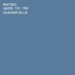 #597B9C - Kashmir Blue Color Image