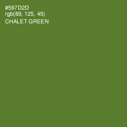 #597D2D - Chalet Green Color Image