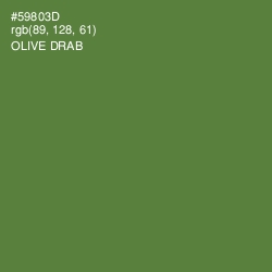#59803D - Olive Drab Color Image