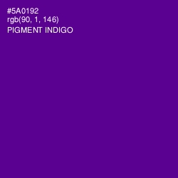 #5A0192 - Pigment Indigo Color Image