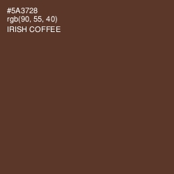 #5A3728 - Irish Coffee Color Image