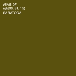 #5A510F - Saratoga Color Image