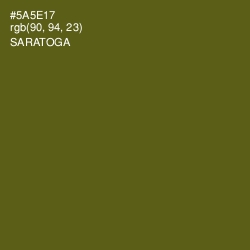 #5A5E17 - Saratoga Color Image