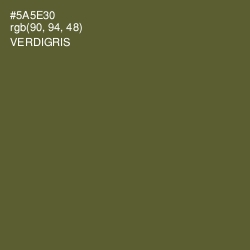 #5A5E30 - Verdigris Color Image