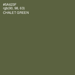 #5A623F - Chalet Green Color Image