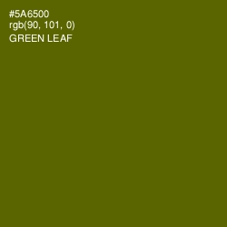 #5A6500 - Green Leaf Color Image