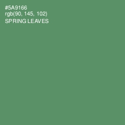#5A9166 - Spring Leaves Color Image