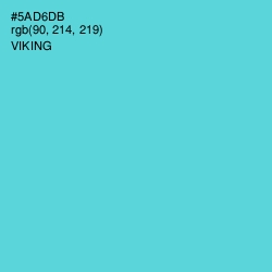 #5AD6DB - Viking Color Image