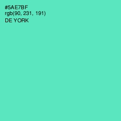 #5AE7BF - De York Color Image