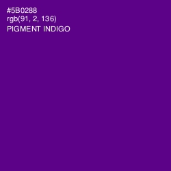 #5B0288 - Pigment Indigo Color Image