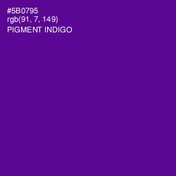 #5B0795 - Pigment Indigo Color Image
