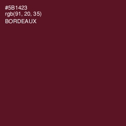 #5B1423 - Bordeaux Color Image