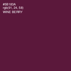 #5B183A - Wine Berry Color Image