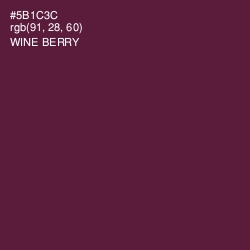 #5B1C3C - Wine Berry Color Image