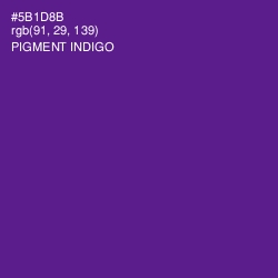 #5B1D8B - Pigment Indigo Color Image